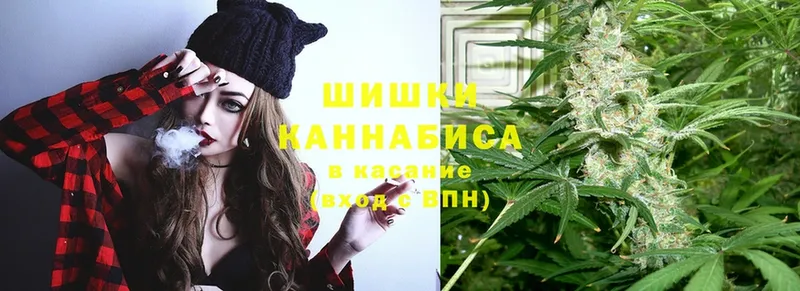 Бошки марихуана SATIVA & INDICA  где можно купить наркотик  omg сайт  Красноуральск 